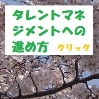 タレントマネジメント　進め方